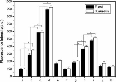 Antibacterial Properties and Mechanism of Lysozyme-Modified ZnO Nanoparticles